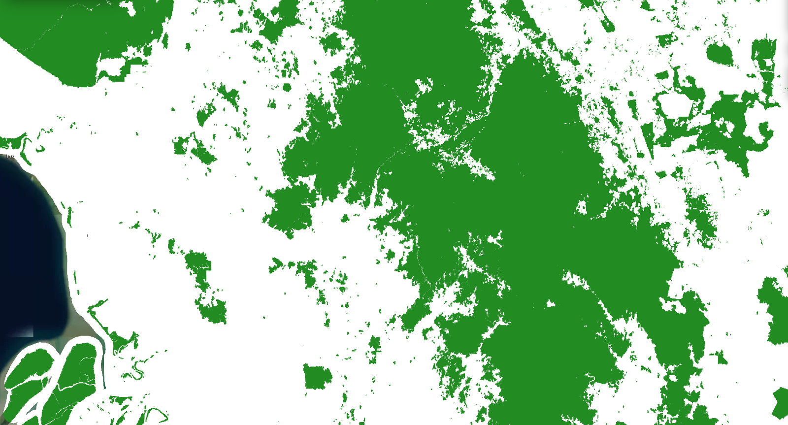 Forest and non-forest classification map used to estimate a project's potential VCU output