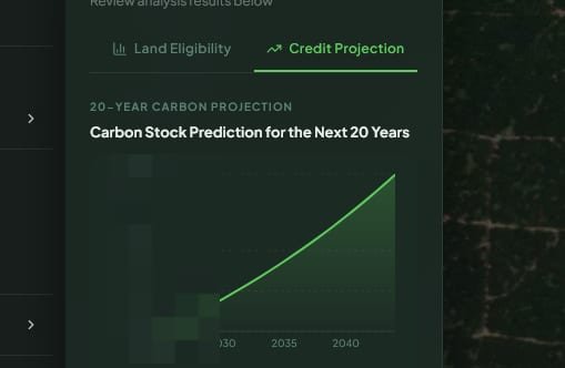 SastenaScreen 20-year carbon stock projection chart