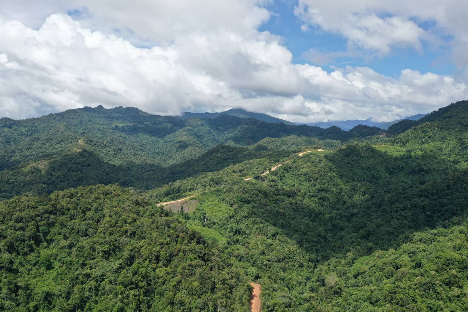 Aerial view of a forested Sastena project site