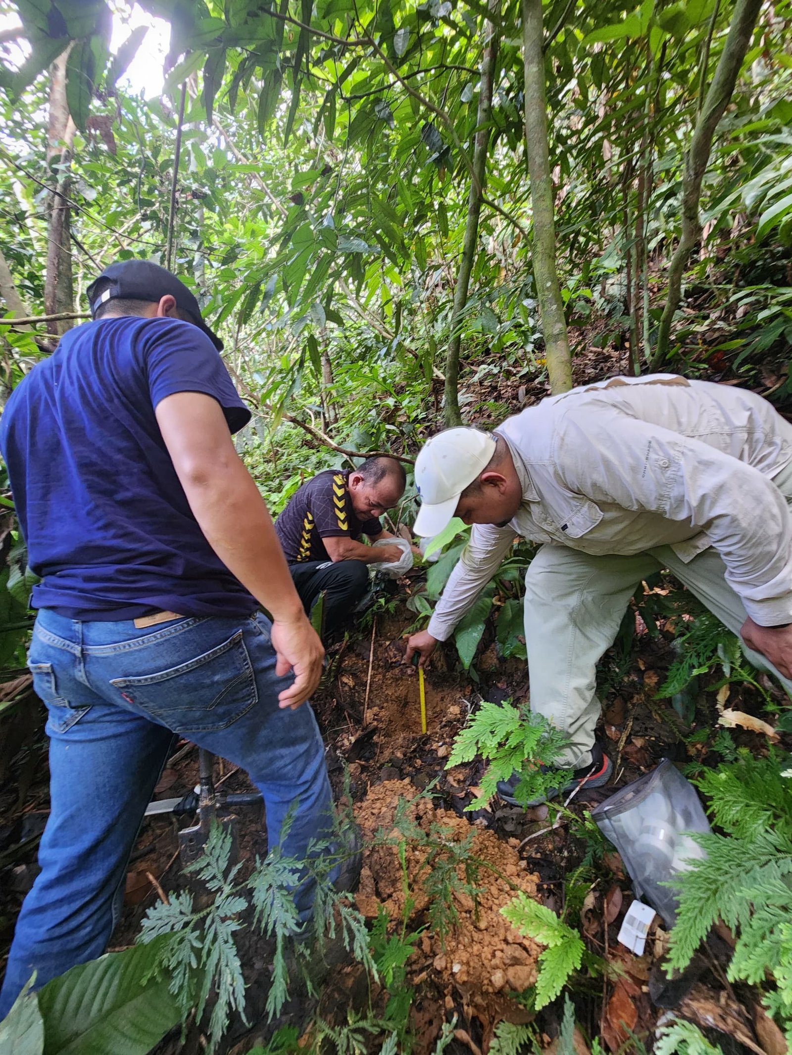 Sastena field team conducting forest carbon survey work
