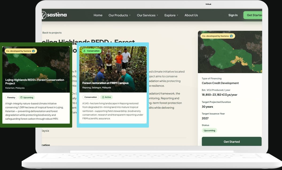 Project portfolio cards for forest conservation and restoration initiatives