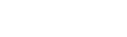 Sastena Technology