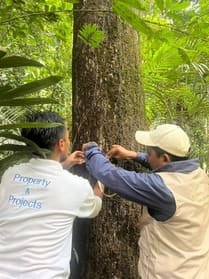 A specialist recording tree measurements during a field survey